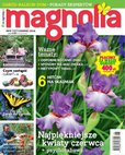 e-prasa: Magnolia – 6/2016
