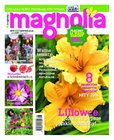 e-prasa: Magnolia – 8/2016