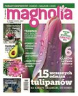 e-prasa: Magnolia – 3/2017