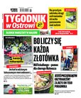 e-prasa: Tygodnik Ostrołęcki - Tygodnik w Makowie – 35/2020