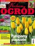 e-prasa: Kocham Ogród – 4/2022