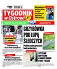 e-prasa: Tygodnik Ostrołęcki - Tygodnik w Ostrowi – 19/2022